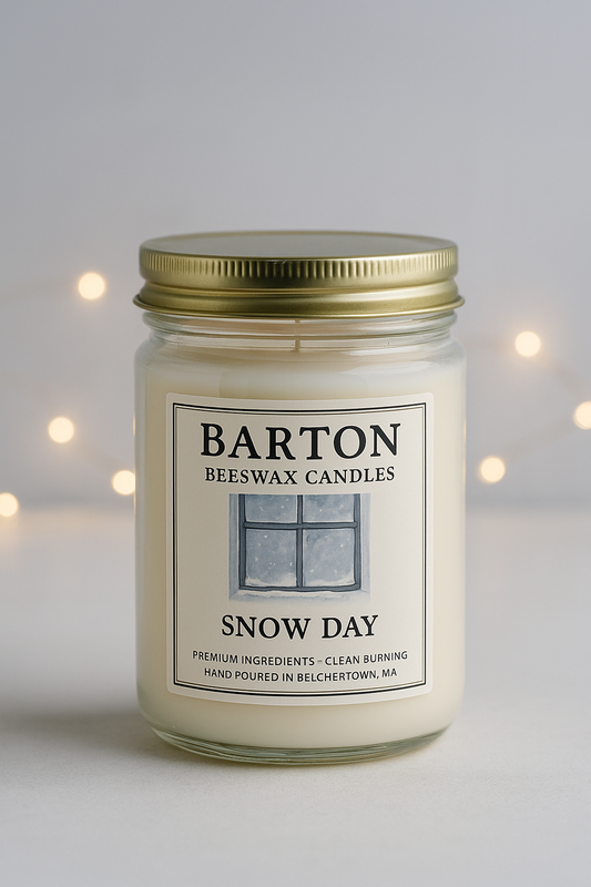 Snow Day